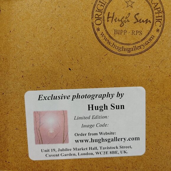 London Eye LE9 Signed Hugh Sun, the Photographer - Picture 5 of 8